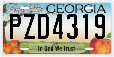 GA license plate PZD4319