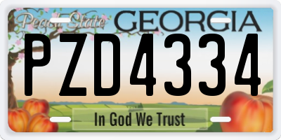 GA license plate PZD4334