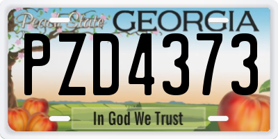 GA license plate PZD4373
