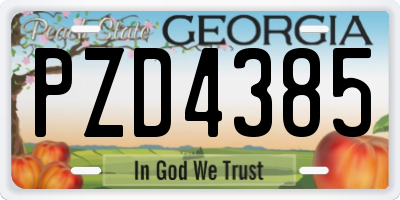 GA license plate PZD4385