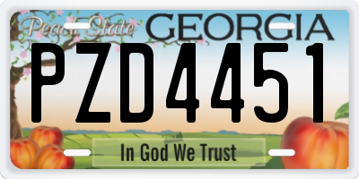 GA license plate PZD4451