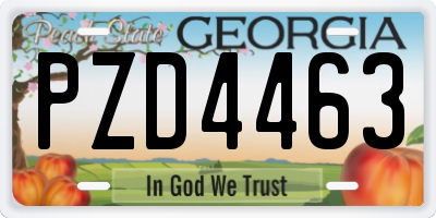 GA license plate PZD4463
