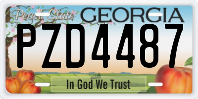 GA license plate PZD4487
