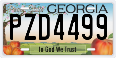GA license plate PZD4499