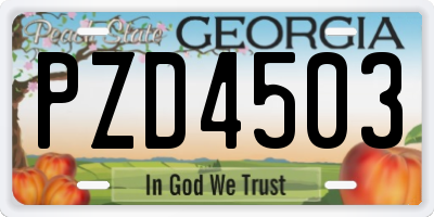 GA license plate PZD4503