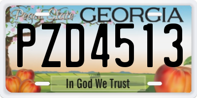 GA license plate PZD4513