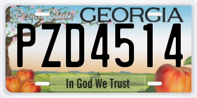 GA license plate PZD4514