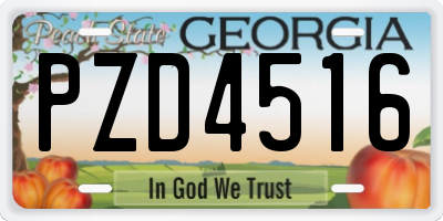 GA license plate PZD4516