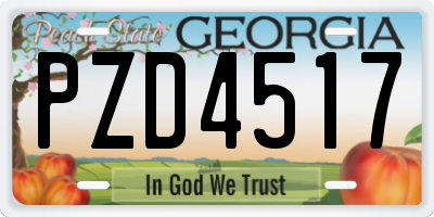 GA license plate PZD4517