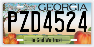 GA license plate PZD4524