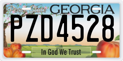 GA license plate PZD4528