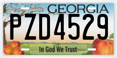 GA license plate PZD4529