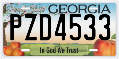 GA license plate PZD4533
