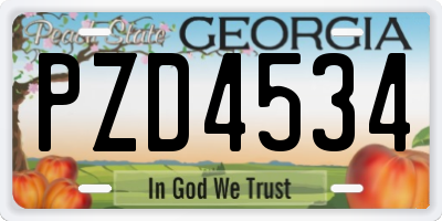GA license plate PZD4534