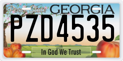 GA license plate PZD4535