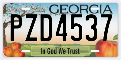 GA license plate PZD4537