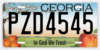 GA license plate PZD4545