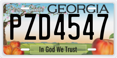 GA license plate PZD4547