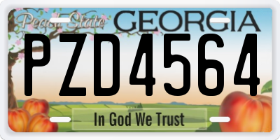 GA license plate PZD4564