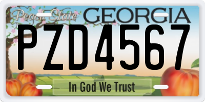 GA license plate PZD4567