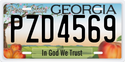 GA license plate PZD4569