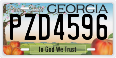 GA license plate PZD4596