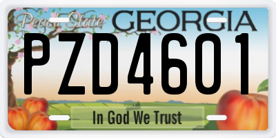 GA license plate PZD4601