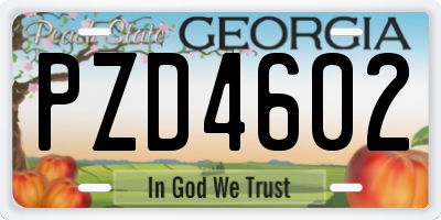 GA license plate PZD4602