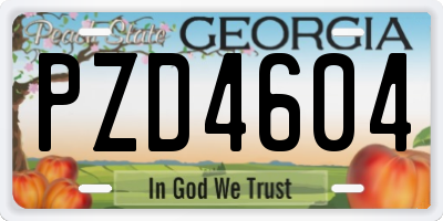 GA license plate PZD4604