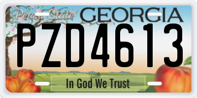 GA license plate PZD4613