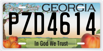 GA license plate PZD4614