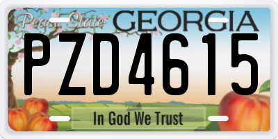 GA license plate PZD4615