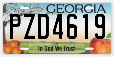 GA license plate PZD4619