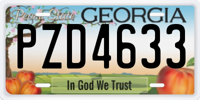 GA license plate PZD4633