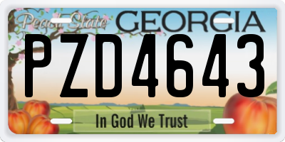 GA license plate PZD4643