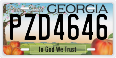 GA license plate PZD4646