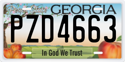 GA license plate PZD4663