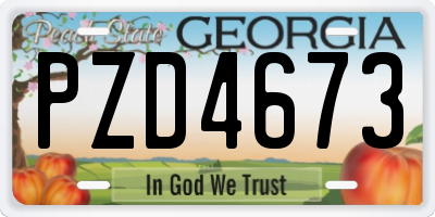 GA license plate PZD4673