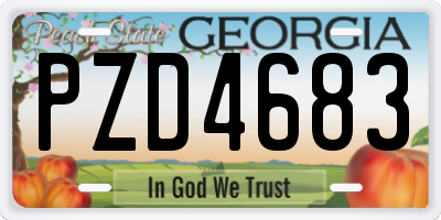 GA license plate PZD4683