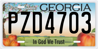 GA license plate PZD4703