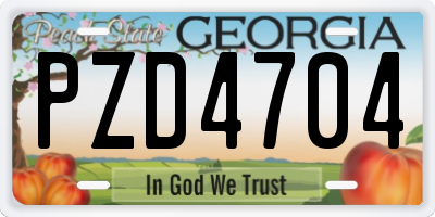 GA license plate PZD4704