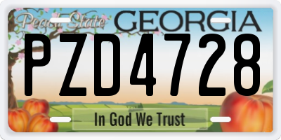 GA license plate PZD4728