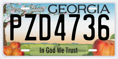 GA license plate PZD4736