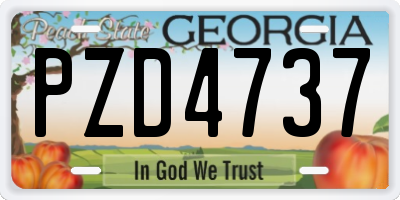 GA license plate PZD4737
