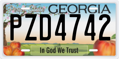 GA license plate PZD4742