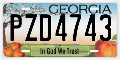 GA license plate PZD4743