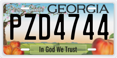GA license plate PZD4744