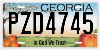 GA license plate PZD4745
