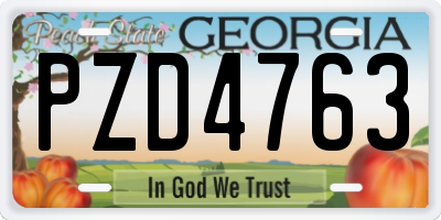 GA license plate PZD4763