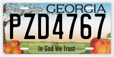 GA license plate PZD4767